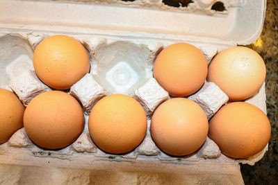 High angle view of eggs in container