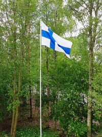 Scenic view of flag amidst trees in forest