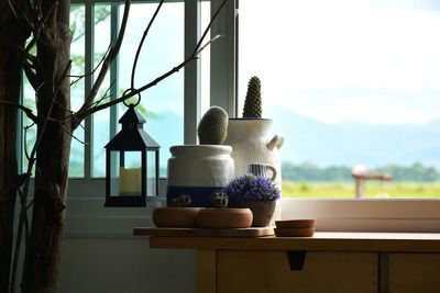 Potted plants on window sill