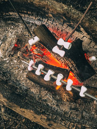 High angle view of toys on barbecue grill