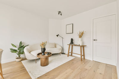 Potted plant on hardwood floor at home