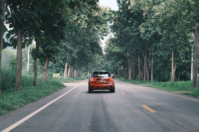 Car on road by trees in city