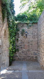 View of birds on wall in alley