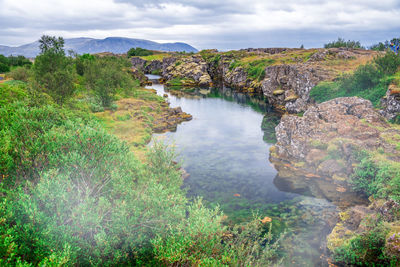 Scenic view of trees and rocks against sky