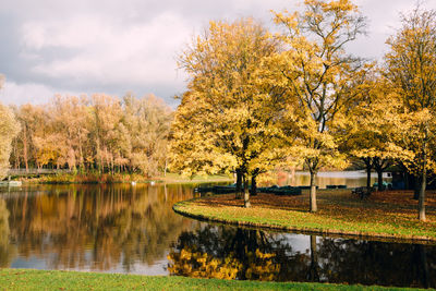 Trees by lake against sky during autumn