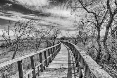 Wooden footbridge along trees and plants