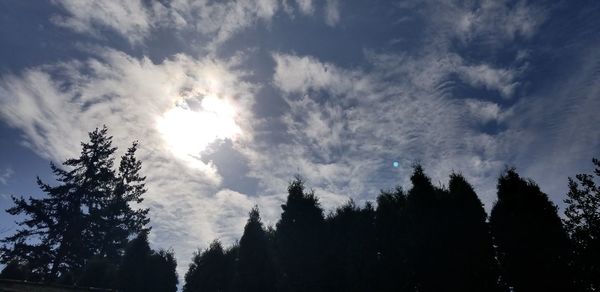 Low angle view of silhouette trees against sky