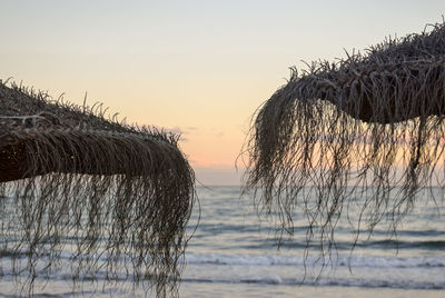 Scenic view of sea against clear sky during sunset