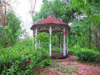 Gazebo in park
