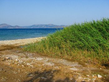 Scenic view of sea against clear sky