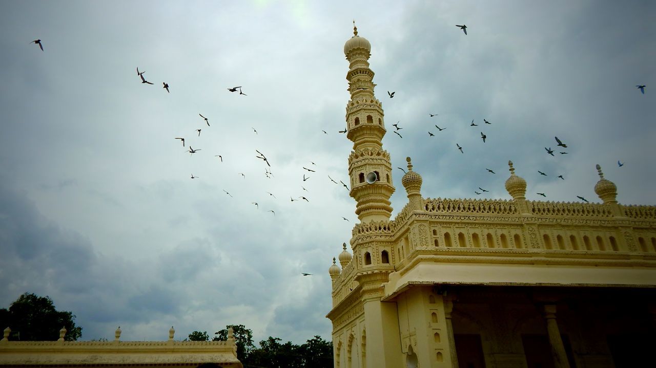 sky, low angle view, architecture, built structure, building exterior, cloud - sky, flying, outdoors, no people, history, day, travel destinations, place of worship, bird, large group of animals, animal themes, city