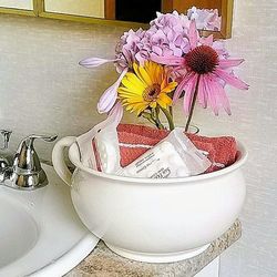 Close-up of flowers in plate