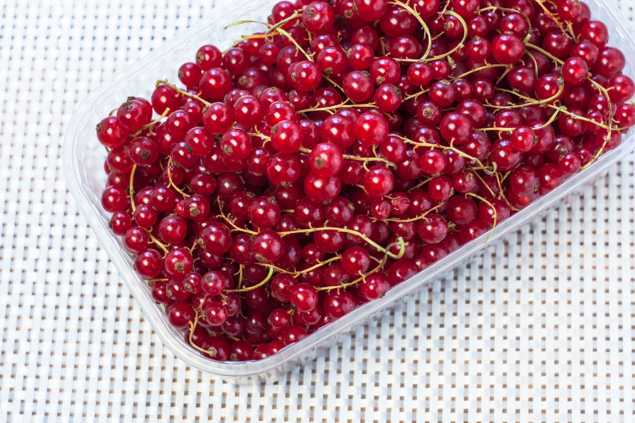 HIGH ANGLE VIEW OF RED BERRIES IN CONTAINER