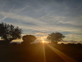 Silhouette trees on field against sky at sunset