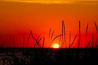 Scenic view of sunset