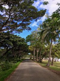 Empty road amidst trees against sky