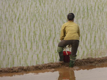 Rear view of woman working on rice paddy