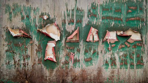 Full frame shot of peeling paint on wall