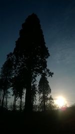 Low angle view of silhouette trees against sky at sunset
