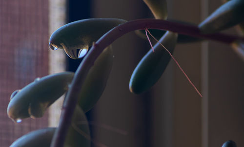 Close-up of machine part