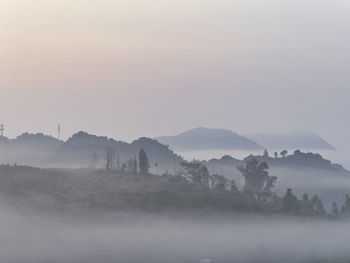 Trees on landscape against sky at foggy weather