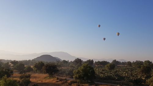 Scenic view of landscape against clear sky