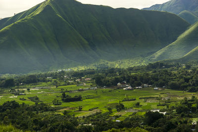 Scenic view of field against mountains