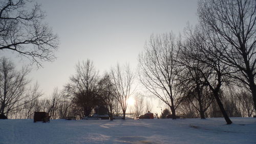 Trees against sky during winter