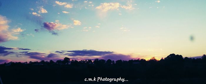 Silhouette trees against sky during sunset