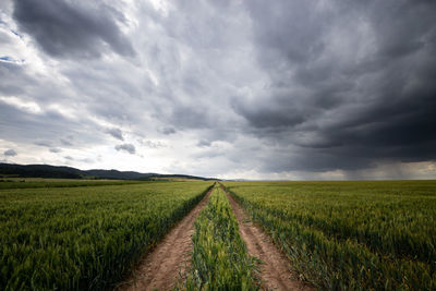 Scenic view of agricultural field against cloudy sky