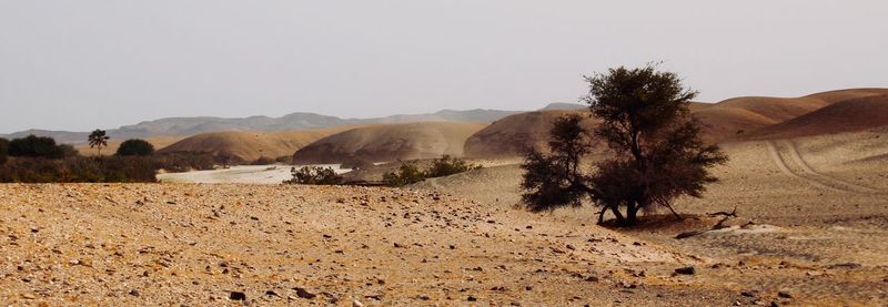 Scenic view of desert against sky