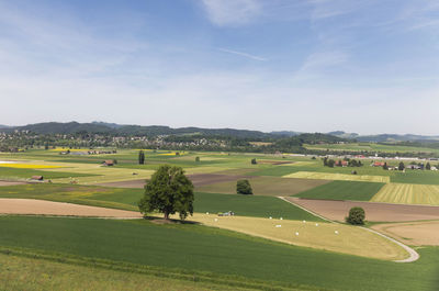 Scenic view of rural landscape