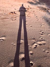 Shadow of person on sand