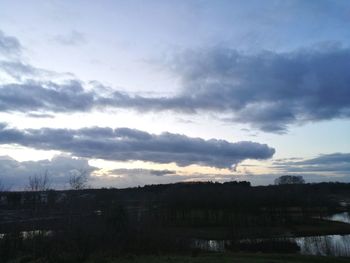 Scenic view of trees against sky