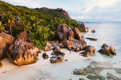 Aerial view of man at beach