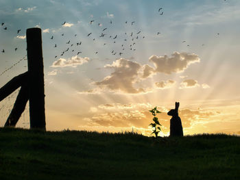 Silhouette birds on grass against sky during sunset