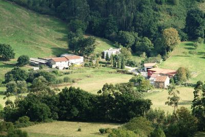 Houses by trees in forest