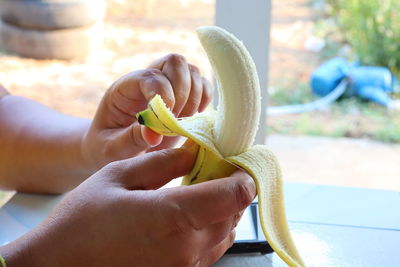 Close-up of person holding apple