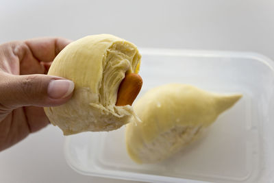 Close-up of hand holding fruit