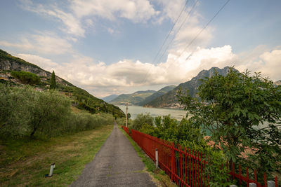 Road amidst plants against sky