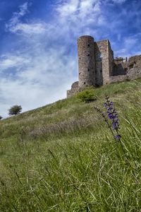 Low angle view of castle on field against sky