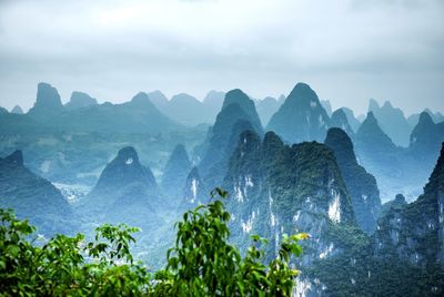 Low angle view of trees on mountain against sky