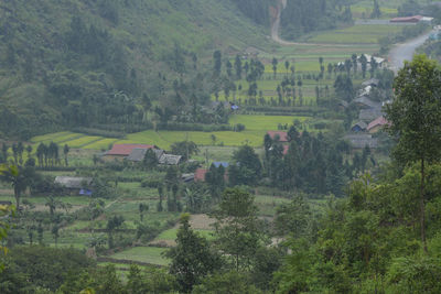 Scenic view of agricultural field by trees and plants