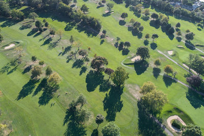 High angle view of green field