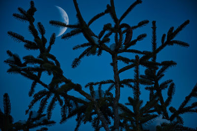 Low angle view of silhouette trees against clear blue sky