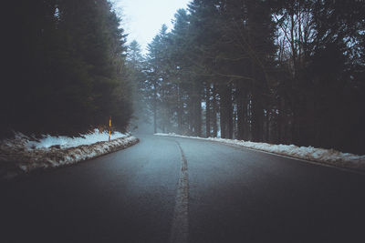 Empty road along trees