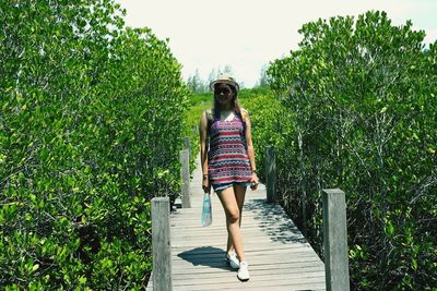 Full length of woman standing on footbridge amidst plants