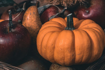 Close-up of pumpkins