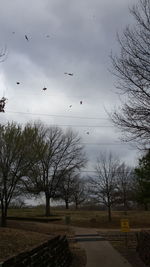 Bare trees on field against cloudy sky