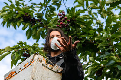 Low angle view of woman holding fruits on tree